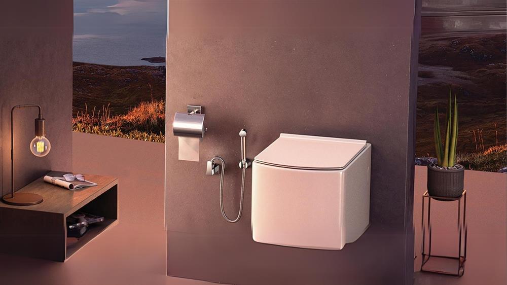 wall mounted toilet